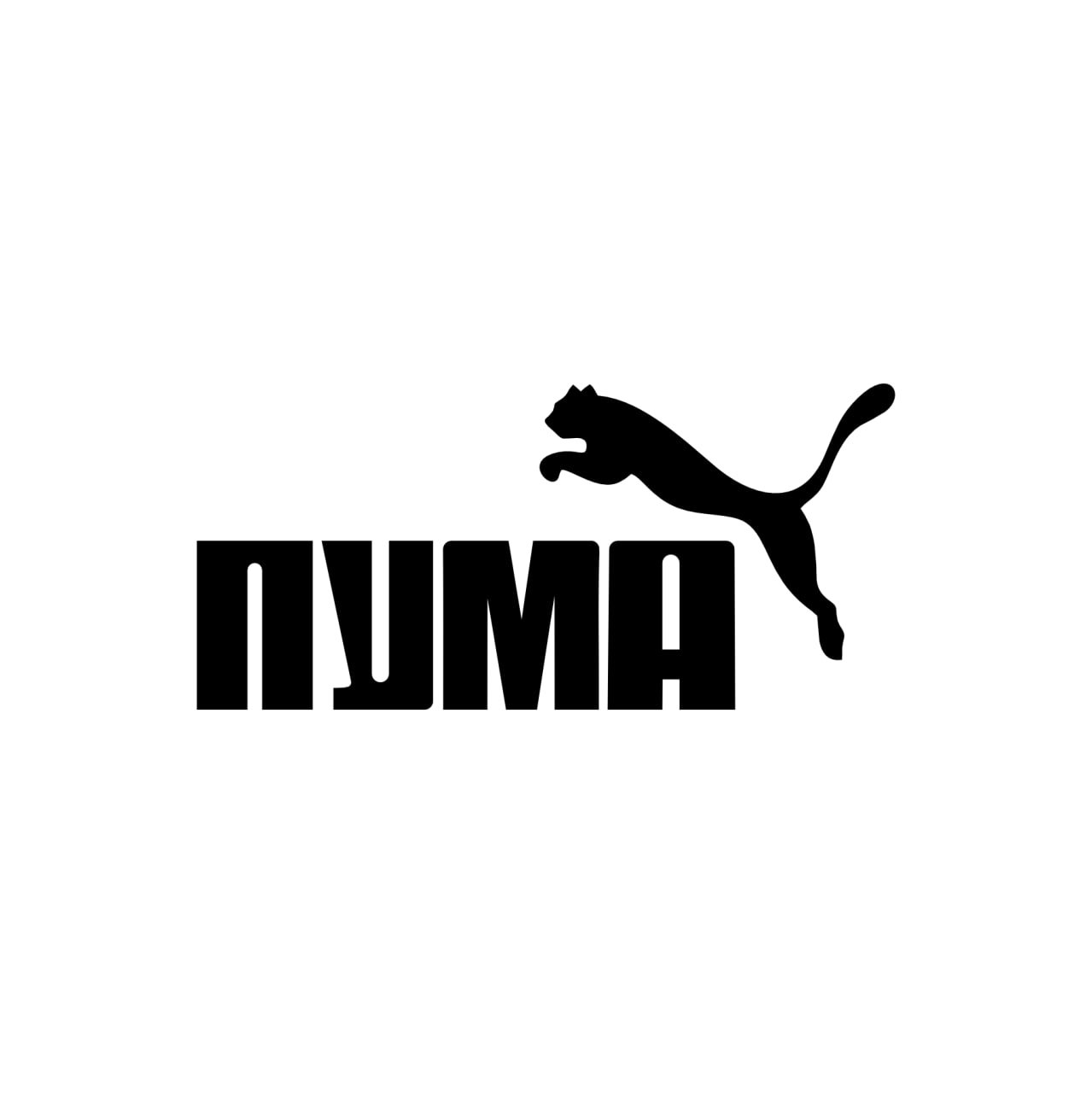 Пума — изображение 3